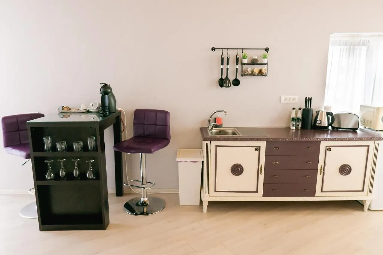 Chic Studio Bucareste Apart-hotel